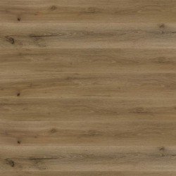 Durham – 8 mm Royal Collection